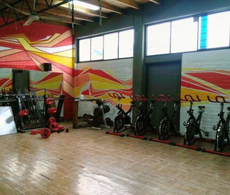 Imagen 1 de la galería del partner Gimnasio YX