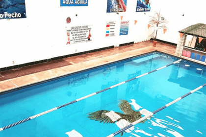 Imagen 1 de la galería del partner Escuela de Natación Aqua Aguila