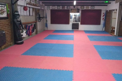 Imagen 1 de la galería del partner Academia Internacional Xtreme Kenpo Fitness