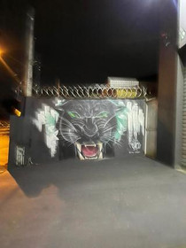 Imagem 2 da galeria do parceiro CF Pumas ZN