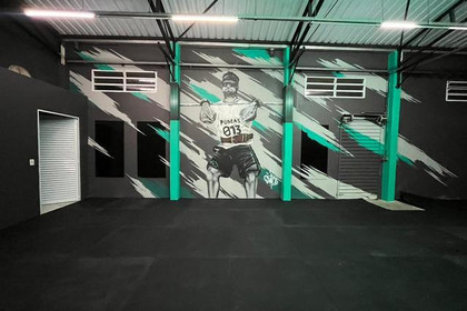 Imagem 3 da galeria do parceiro CF Pumas ZN