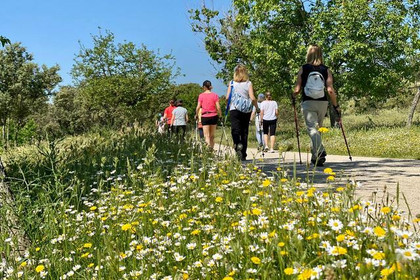 Imagen 2 de la galería del partner Nordic Walkers Valdelatas