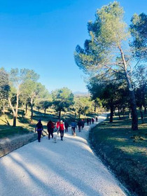 Imagen 6 de la galería del partner Nordic Walkers Valdelatas