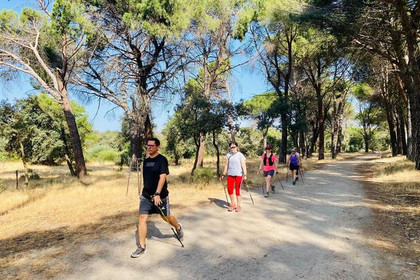 Imagen 5 de la galería del partner Nordic Walkers Valdelatas