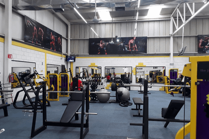 Imagen 1 de la galería del partner Warriors Gym Sport Center