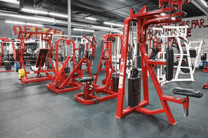 Image 4 from Deezel Muscle partner gallery