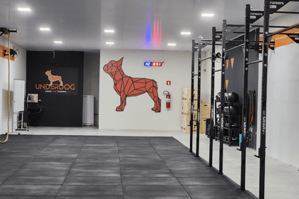 Imagem 1 da galeria do parceiro CT UNDERDOG