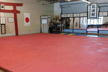 Image 1 from Nevada Shotokan Karate partner gallery