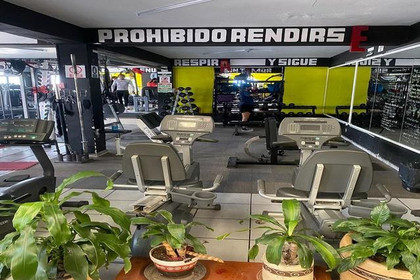 Imagen 5 de la galería del partner Xtremo Gym