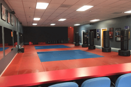 Image 1 from Karate America West Palm Beach partner gallery