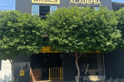 Imagem 2 da galeria do parceiro Academia Basics