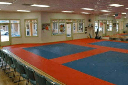 Image 2 from Karate America World Headquarters partner gallery