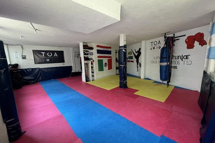 Imagen 1 de la galería del partner TOA MMA