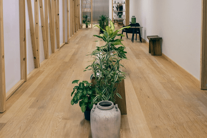 Imagen 4 de la galería del partner Everest Wellness Center
