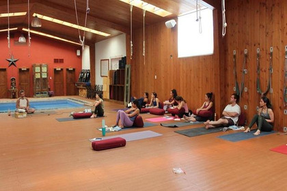 Imagen 1 de la galería del partner Nirå Yoga