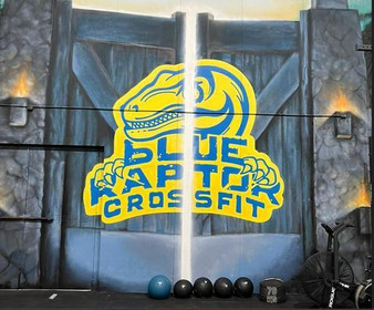 Imagen 8 de la galería del partner Crossfit Blue Raptor