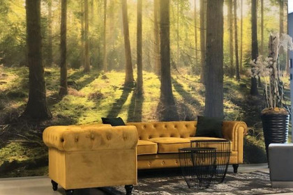 Bild 4 von fit+ Elbtal Partnergalerie