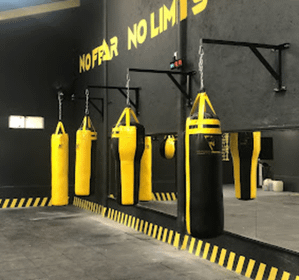 Imagen 5 de la galería del partner Knockout Functional Fitness