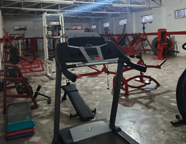 Imagen 3 de la galería del partner Warrior's Gym