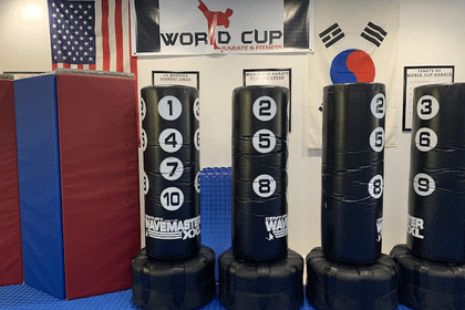 Image 3 from World Cup Karate and Fitness partner gallery