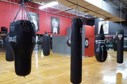 Image 4 from Tampa Family Fitness partner gallery
