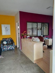 Imagem 2 da galeria do parceiro Cia de Ballet Dulce Drummond