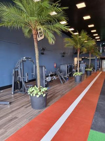 Imagem 2 da galeria do parceiro Arnoni Fitness Centro