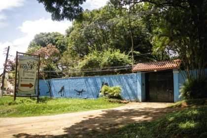 Imagem 5 da galeria do parceiro Academia Eco Fitness---
