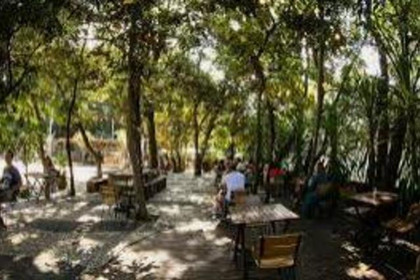 Imagem 5 da galeria do parceiro Calçadão SP - Pinheiros