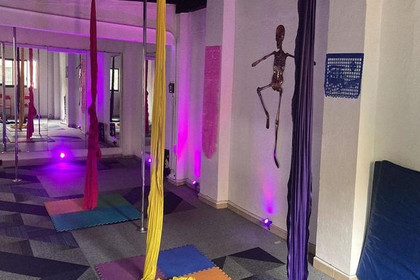 Imagen 1 de la galería del partner Yollin Arts-Fitness-Wellness