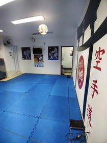 Imagem 3 da galeria do parceiro Dojo US Team
