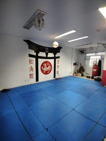 Imagem 4 da galeria do parceiro Dojo US Team