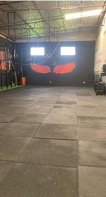 Imagem 1 da galeria do parceiro Steel Angels Training