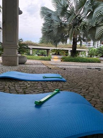 Imagem 3 da galeria do parceiro BL Trainer