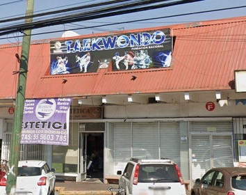 Imagen 2 de la galería del partner Fundación Nacional de Taekwondo