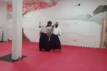 Imagem 1 da galeria do parceiro Hanshin Dojo Aikido