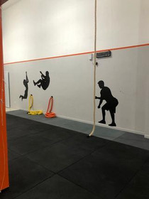 Imagem 2 da galeria do parceiro Fortis fit E Performance