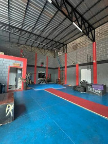 Imagem 3 da galeria do parceiro Arena Calistenia