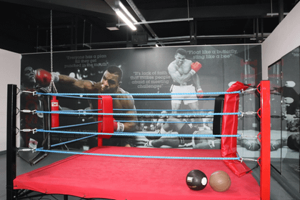 Image 2 from Anchor Strength and Fitness partner gallery