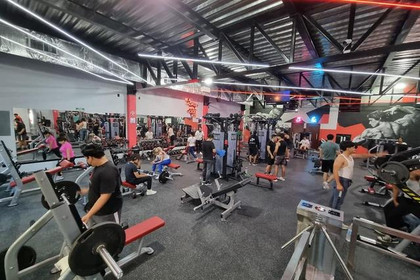 Imagen 1 de la galería del partner Muscle Factory