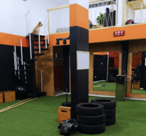 Imagem 4 da galeria do parceiro CT Lion Fit