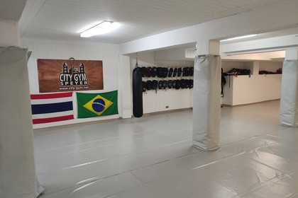 Bild 1 von City Gym Speyer Partnergalerie