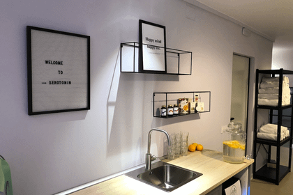 Imagen 7 de la galería del partner Serotonin Studio
