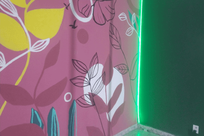 Imagem 2 da galeria do parceiro Bird Pole Studio