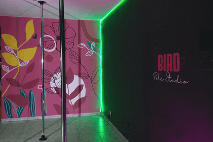 Imagem 3 da galeria do parceiro Bird Pole Studio