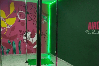 Imagem 4 da galeria do parceiro Bird Pole Studio