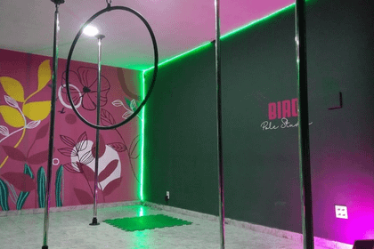 Imagem 5 da galeria do parceiro Bird Pole Studio