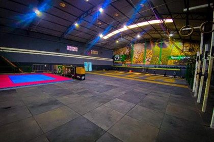 Imagem 1 da galeria do parceiro Toca da Onça Training