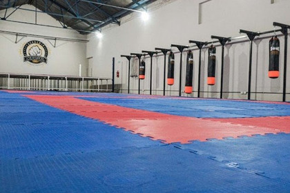 Imagen 4 de la galería del partner Academia Nahual Sede Castellanos