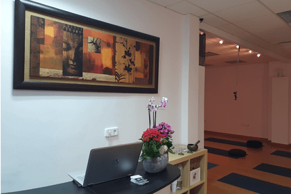 Imagen 2 de la galería del partner Yoga Anandamaya